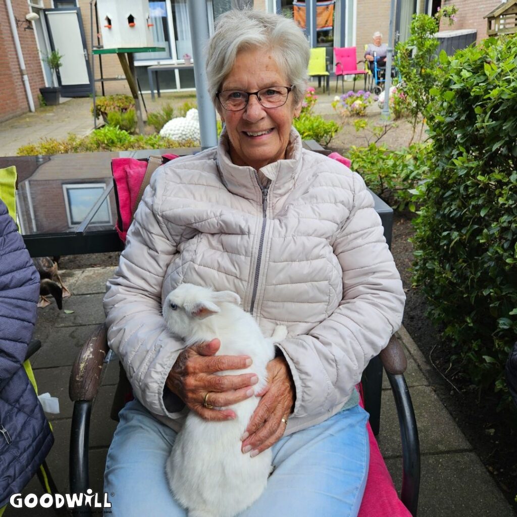 Boerderijdieren komen op bezoek